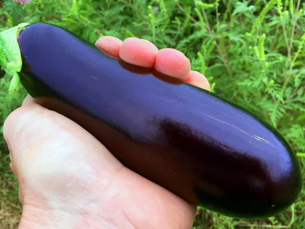 Penis Filler