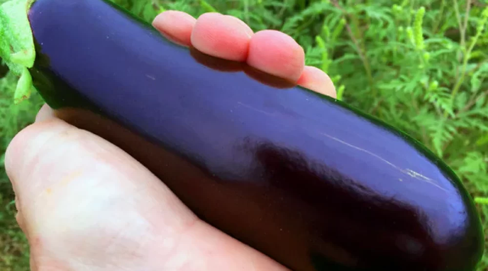 Penis Filler